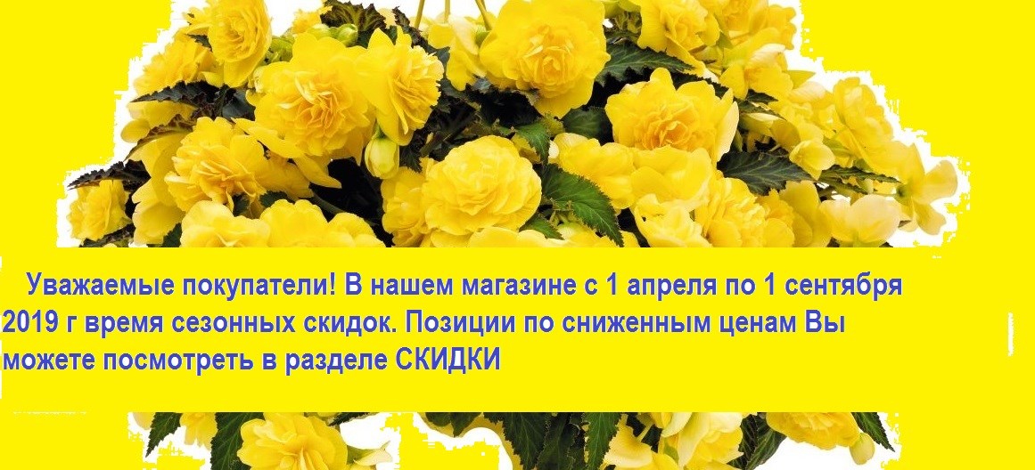 Профессиональные семена цветов и овощей