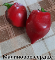 Перец сладкий