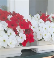 ПЕТУНИЯ МНОГОЦВЕТКОВАЯ (PetuniaMultiflora)