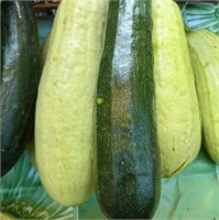 Кабачок