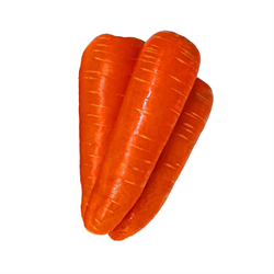 Морковь Курода Пауэр F1 - 1гр (профсемена) - фото 13185