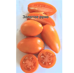 Томат Золотое руно - 5 семян.* 5961