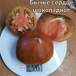 Томат индетерминантный Бычье сердце шоколадное - 5 семян.* 5964