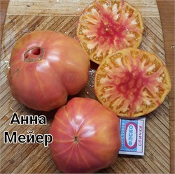 Томат индетерминантный Анна Мейер –  5 семян.* 5968