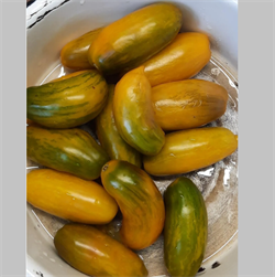 Томат Американская сосиска зеленая - 5 сем.* 5972