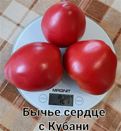 Томат  Бычье сердце кубанское - 5 семян.* 5980