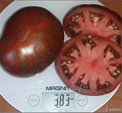 Томат Большой полосатый кабан  - 5 семян.* 5636