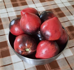 Томат Сержант Пеппер (Sgt. Pepper's) -5 семян.* 5639