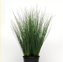 Ситник  Блю Эрроуз - 3 драже /Е16. 6000