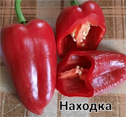 Перец Находка - 5 семян.* 5988