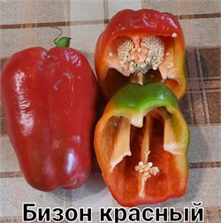 Перец сладкий Бизон красный - 5 семян.* 5507