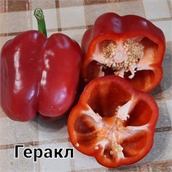 Перец Геракл - 5 семян.* 5984