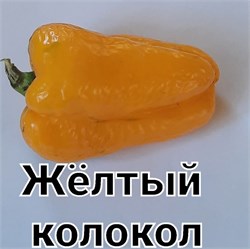 Перец сладкий  Желтый Колокол - 5 семян.* 6012