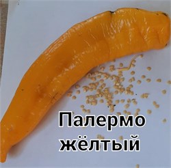 Перец Палермо желтый - 5 семян.* 5986