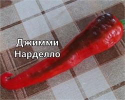 Перец сладкий Джимми Нарделло - 5 семян.* 5830