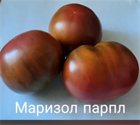 Томат  Маризол фиолетовый Marizol Purple - 5 семян* 5873