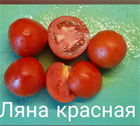 Томат Ляна (красный) - 5 сем* 5646