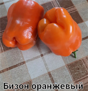 Перец сладкий Бизон оранжевый - 5 семян.* 5530