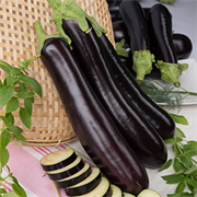 Баклажан Меч Самурая F1 - 0,25гр (профсемена) /Л1. 5555