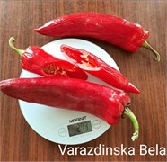 Перец сладкий Вараждинска Бела - 5 семян* 5945