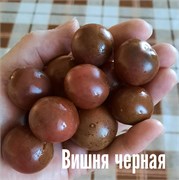 Томат черри Вишня черная - 5 семян.* 5651