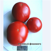 Томат детерминантный Розовый Фламинго  - 5 семян.* 5962
