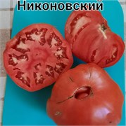 Томат Никоновский - 5 семян.* 5965