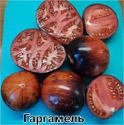 Томат Гаргамель –  5 семян.* 5973