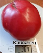 Томат полудетерминантный Кавказец - 5 семян.* 5975