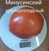 Томат Минусинский крупноплодный - 5 сем.* 5978