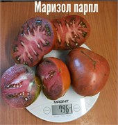 Томат  Маризол парпл Marizol Purple - 5 семян.* 5873