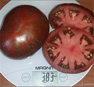 Томат Большой полосатый кабан  - 5 семян.* 5636