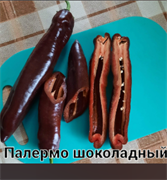 Перец Палермо шоколадный - 5 семян.* 5987
