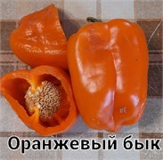 Перец Оранжевый бык - 5 семян* 5832