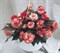 Бегония Нонстоп Rose Petticoat (семена)-5шт  /В12 - фото 10113