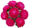 Астра однолетняя Syringa Crimson - 10 шт   /Е15 - фото 10245
