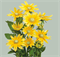 Рудбекия мохнатая Prairie Sun - 5 семян / Г15 5765 - фото 13887
