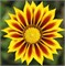Гацания Кисс Yellow flame-5 шт  /Е1 1237 - фото 14454
