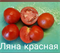 Томат Ляна (красный) - 5 сем* 5646 - фото 14479