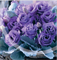 Эустома супермахровая Крома IV Lavender Imp - 5 драже /Э6 - фото 9242