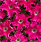 Петуния крупноцветковая бахромчатая АФРОДИТА F1 розовая -10 драже /Б10 - фото 9618